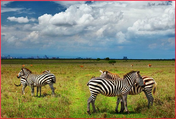 Cheap flights to Nairobi from London cheap flights to nairobi from London